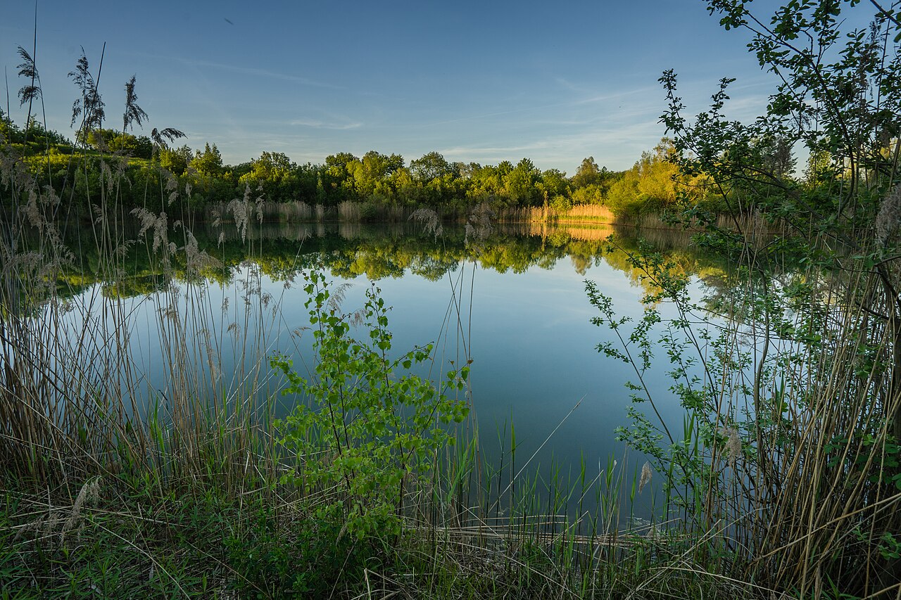 Naturschutzgebiet „Tongrube Gochsheim“, Baden-Württemberg, Deutschland
