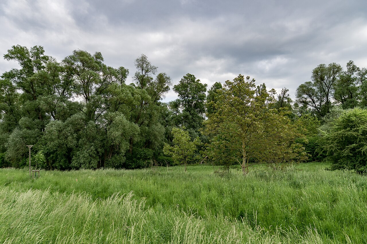 Foto von Tongrubengelände von Bensheim und Heppenheim