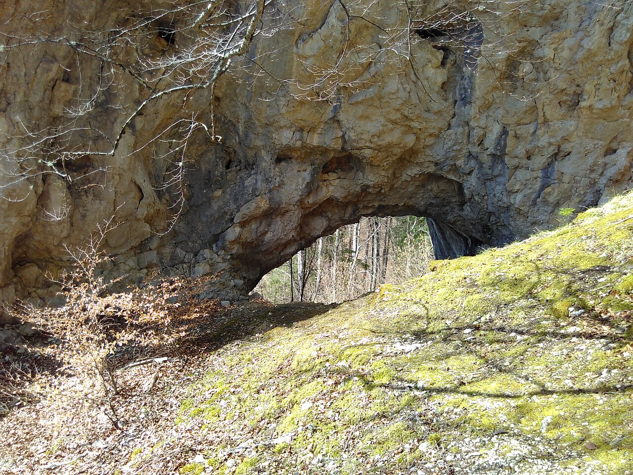 Der Torfelsen in der Nähe von Neufra (Hohenzollern), auf der Schwäbischen Alb