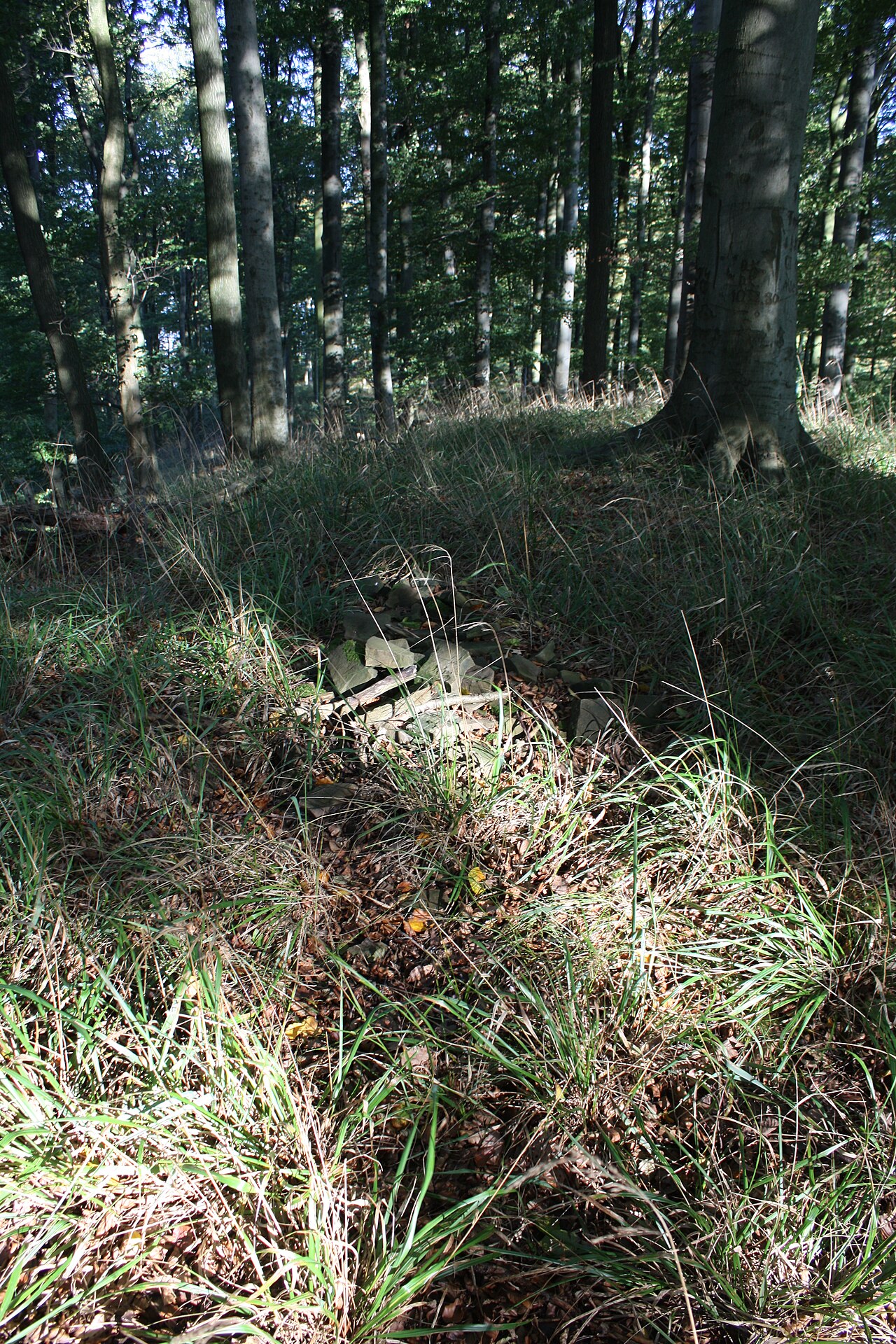 The summit of the "Tosmarberg"