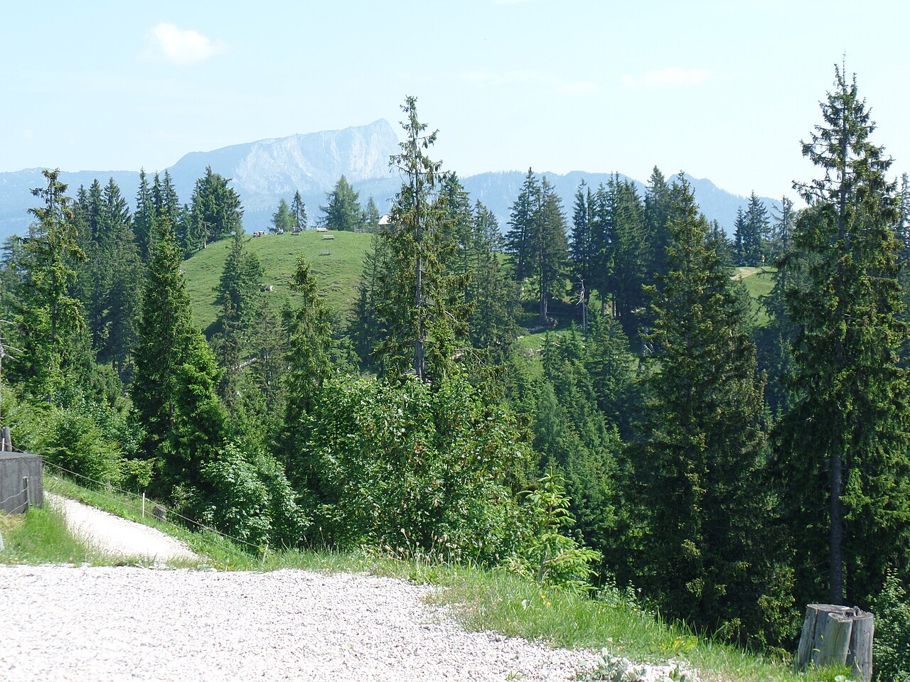 Blick von der Hirschkaser Alm auf den Toten Mann (im Hintergrund der Untersberg )