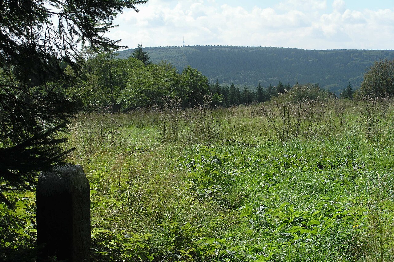 In der Umgebung der Kissinger Hütte auf dem Feuerberg, Blick hinüber zum Totnansberg