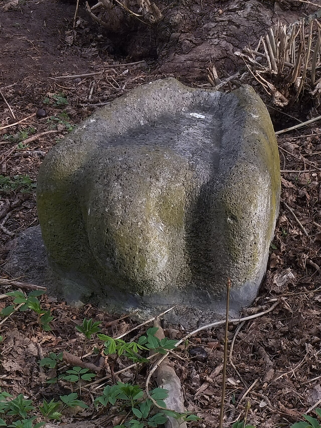 Vogeltränke in Berlin-Reinickendorf