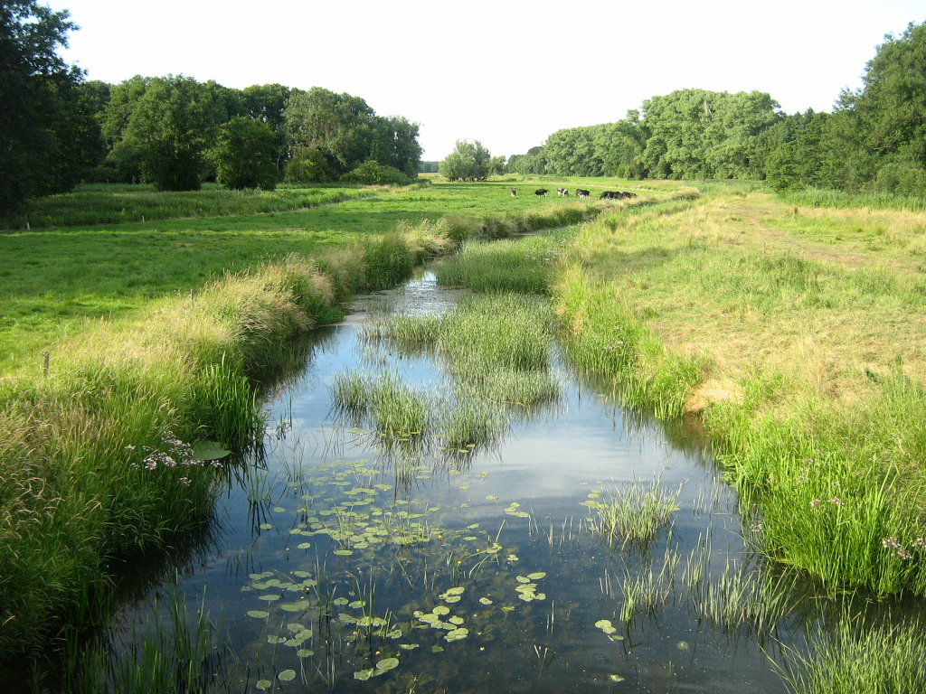 Foto von Trebeltal
