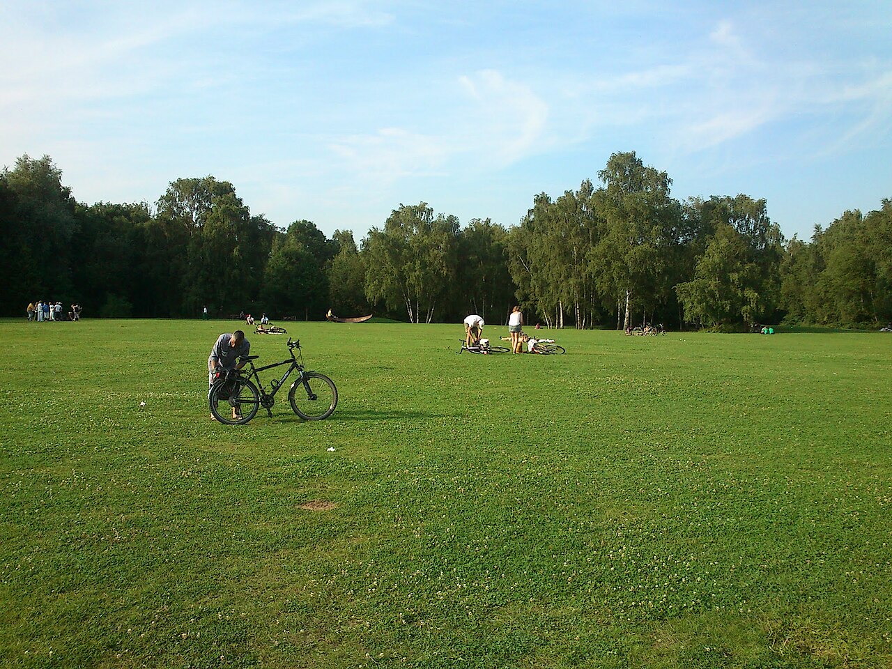 Große Wiese im Tremoniapark, Dortmund
