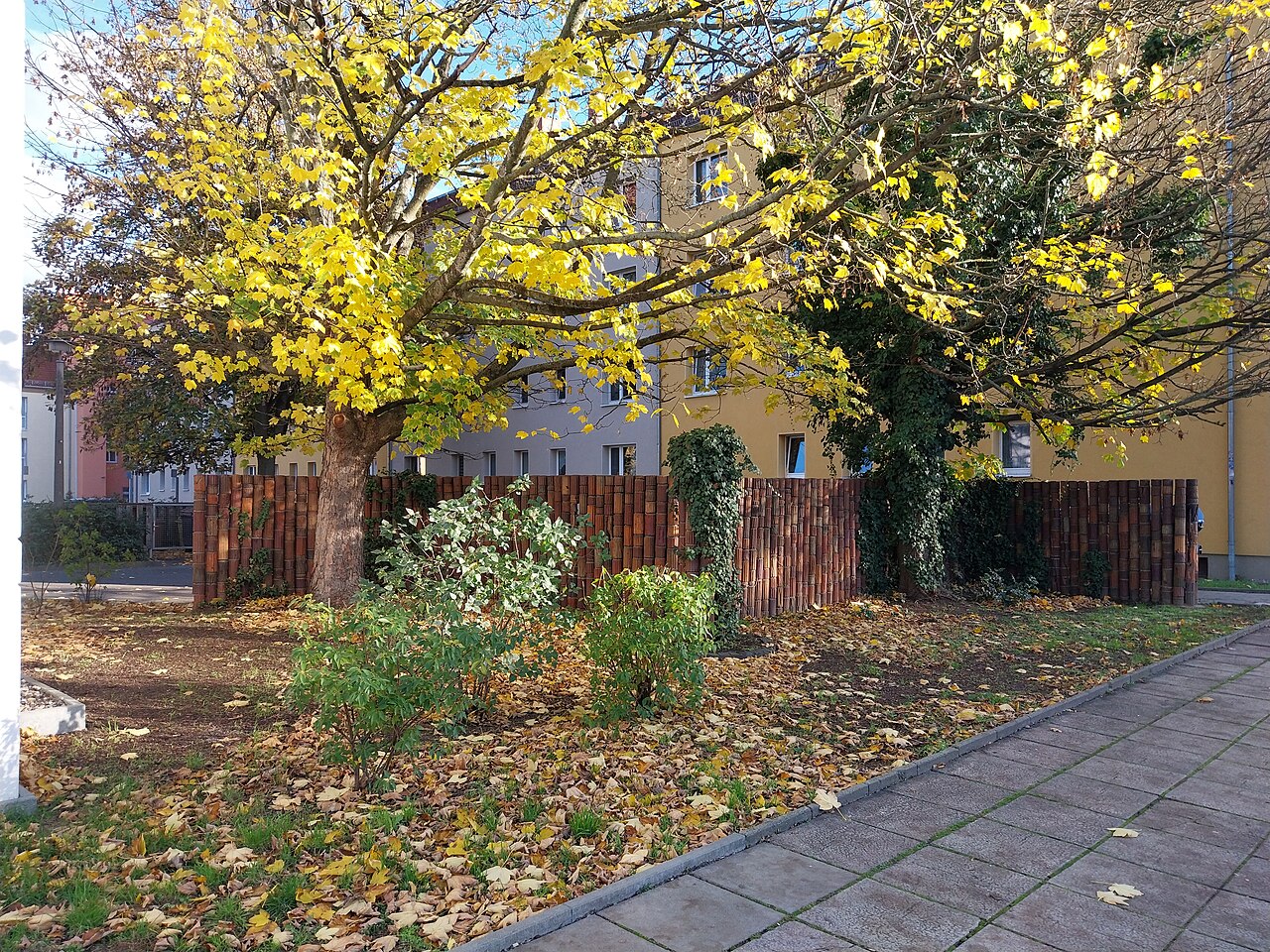Trennwand (Frankfurt (Oder))
