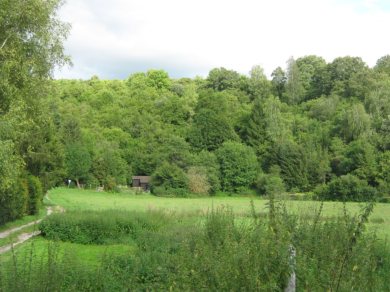 Blick von Westen auf das Naturschutzgebiet Trichter-Ehehalde im Weggental bei Rottenburg am Neckar