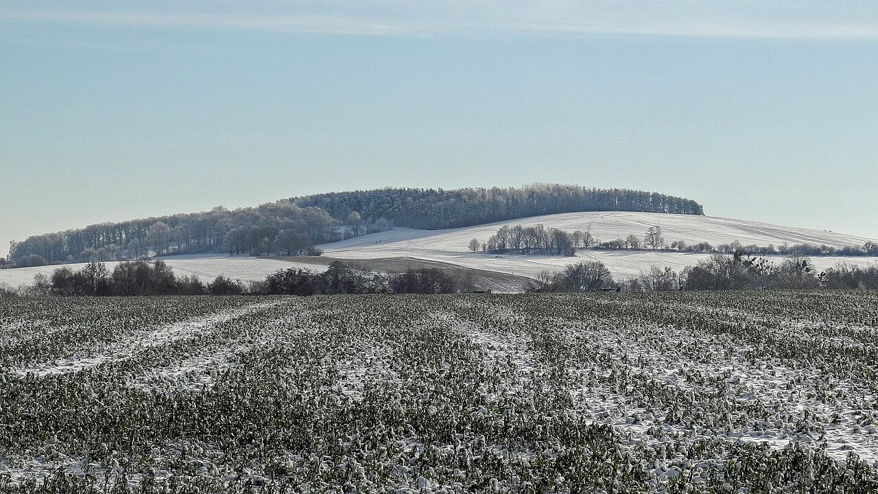 Blick vom Hornweg auf den Triebenberg (383 m), höchster Punkt der Stadt Dresden