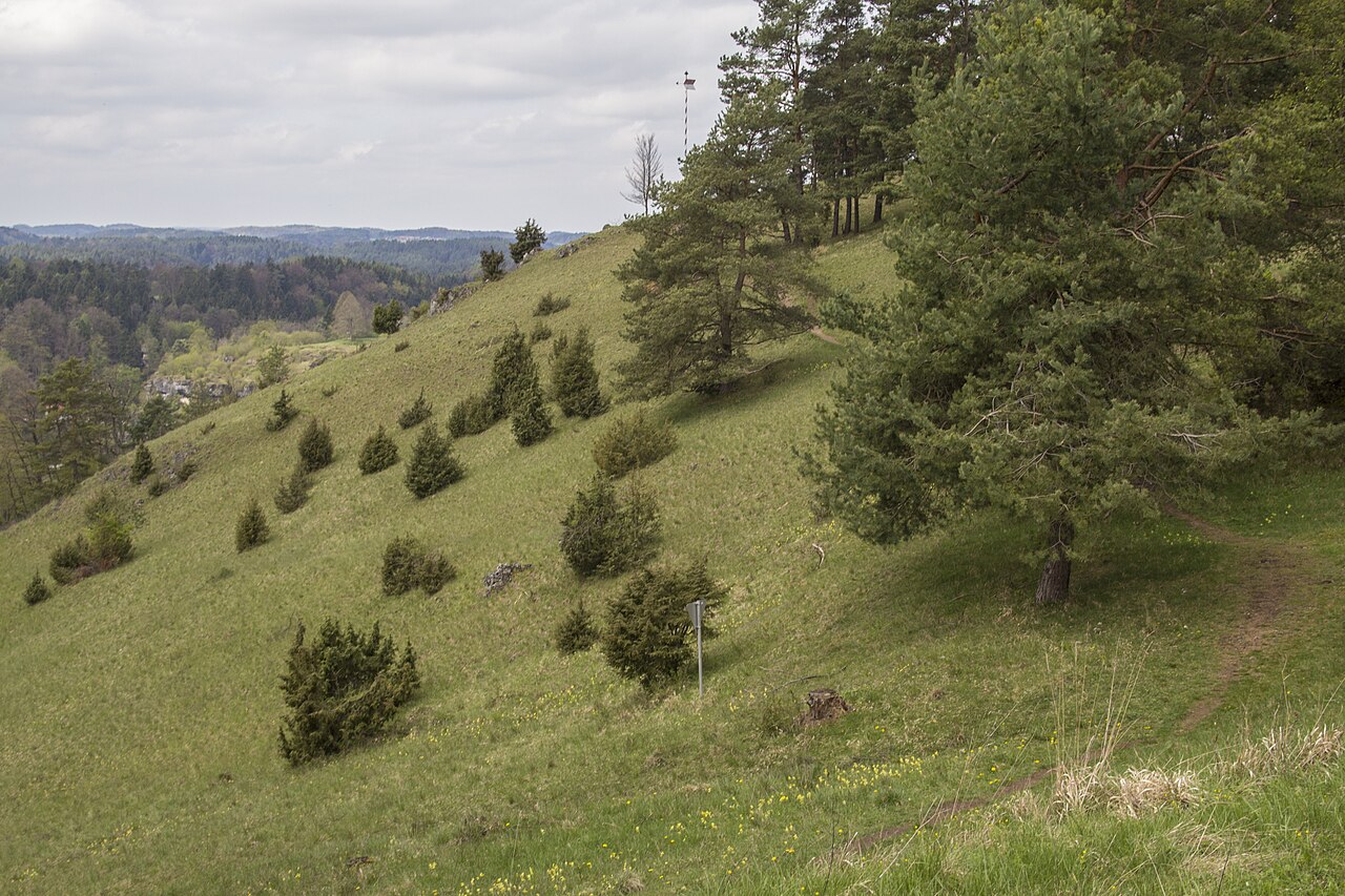 Naturschutzgebiet, Trockenhänge, Pottenstein, Nationales Geotop