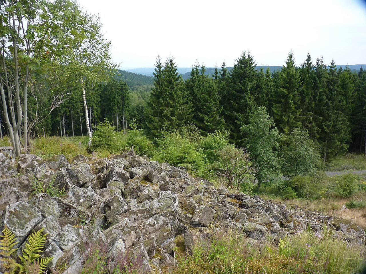 Ausblick von den Trödelsteinen