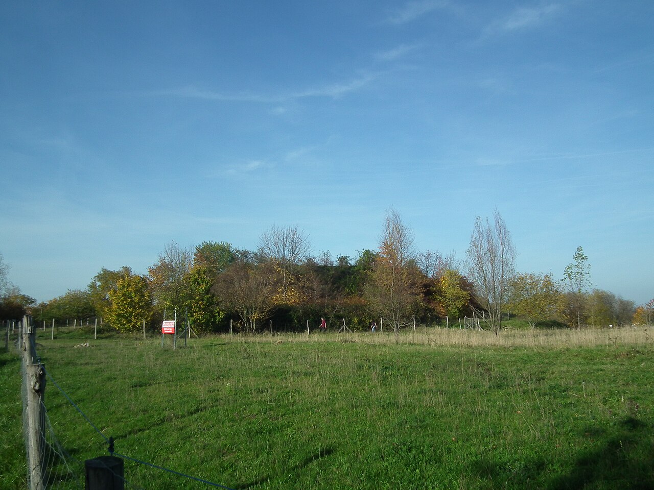 Trutzsch