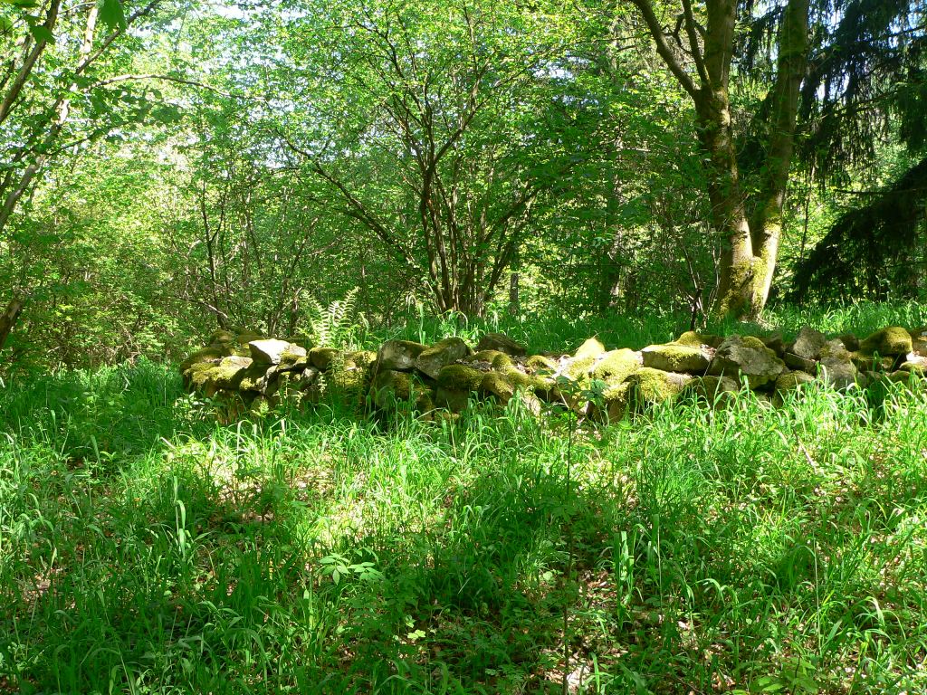 Reste des Rundturms auf Alt-Berneck