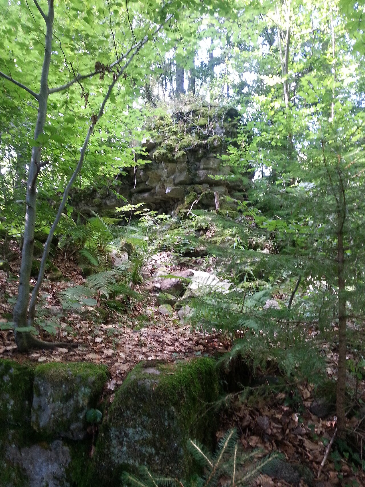 Parts of a wall and a tower of the ruins of Turmhözle castle, near Raitbach (part of Schopfheim)