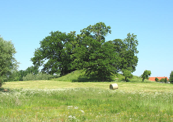 Foto von Turmhügel Stuer