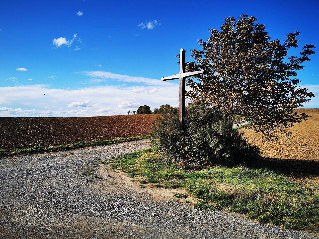 Uhlberg zwischen Gissigheim und Dittwar, Blick in Richtung Gissigheimer Höhe