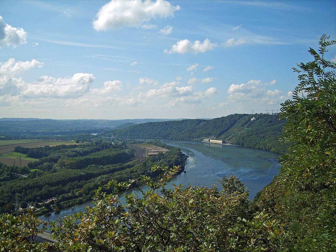 Blick von der Hohensyburg in Dortmund auf den Hengsteysee mit Elodea -Massenbestand