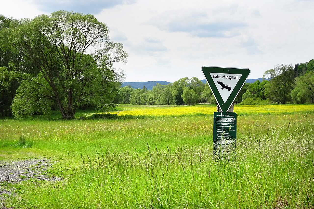 Foto von Ulfewiesen bei Weiterode