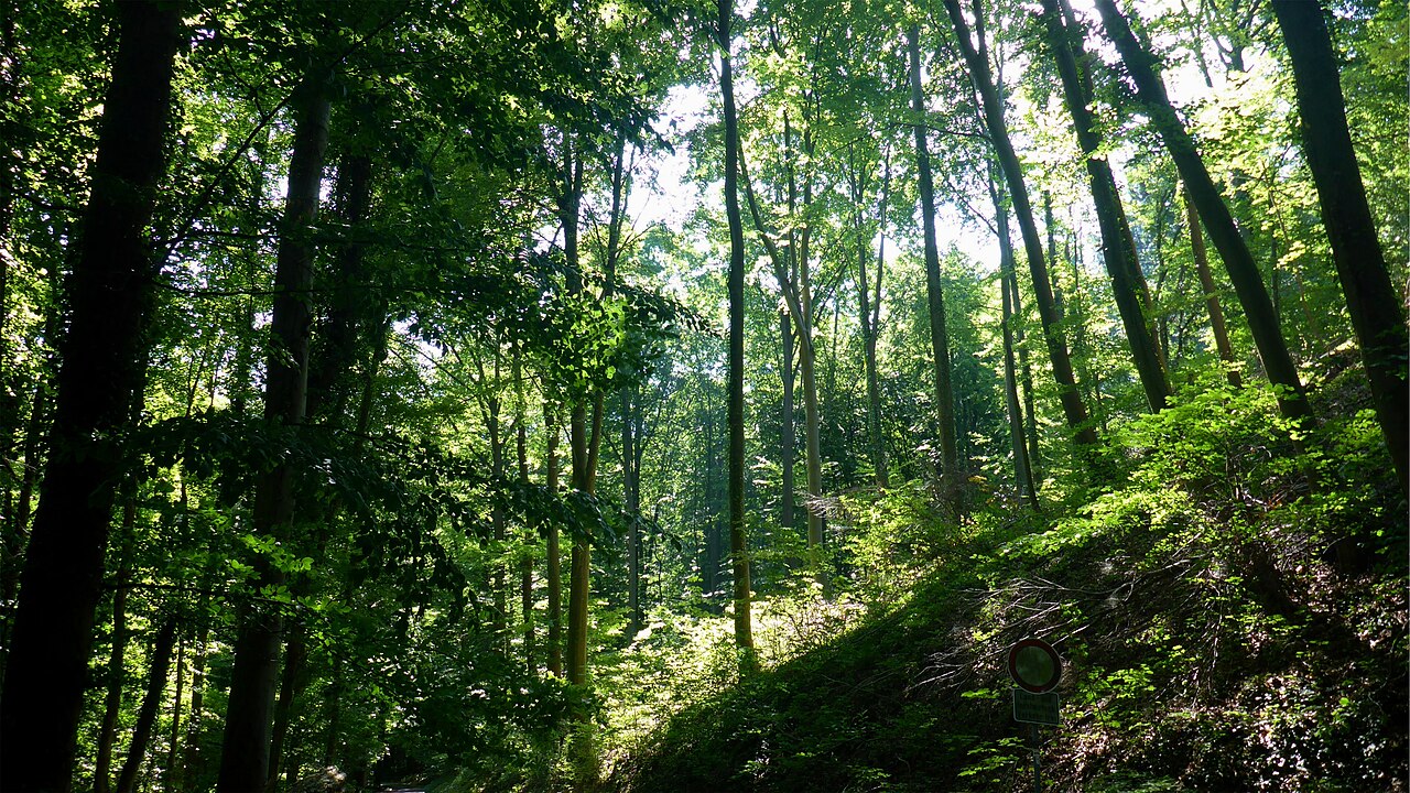 Naturschutzgebiet „Ungeheuerklamm“ is a nature reserve in Baden-Württemberg, Germany