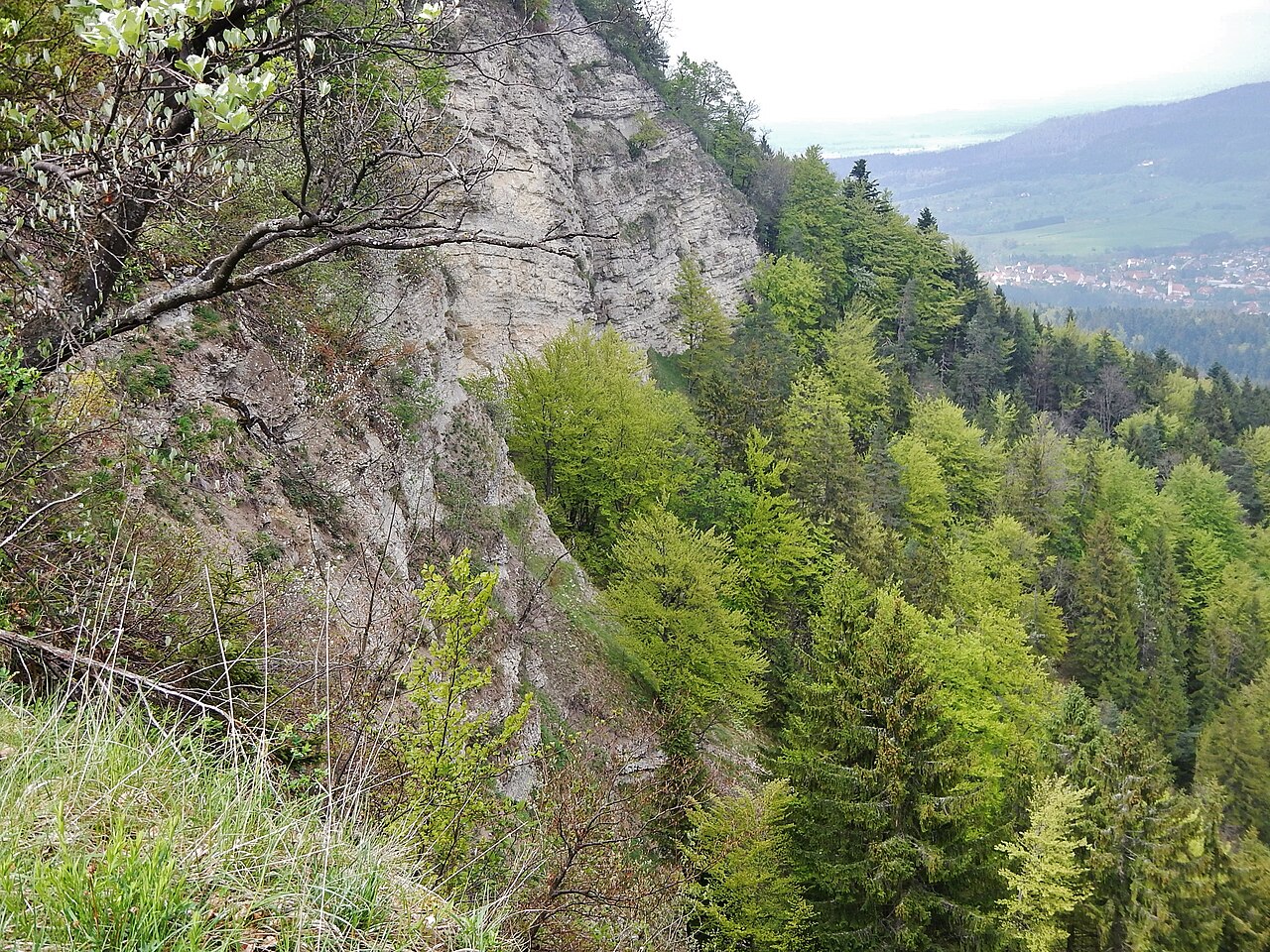 Ausblick vom Albtraufgängerweg beim Hörnle 956 m ü
