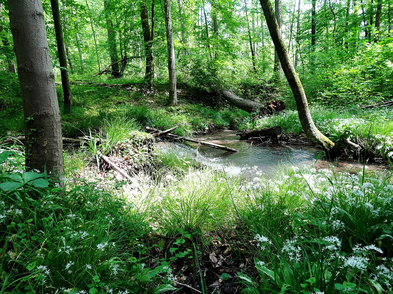 Naturschutzgebiet "Unterer Berg" bei Sachsenheim-Häfnerhaslach im Landkreis Ludwigsburg