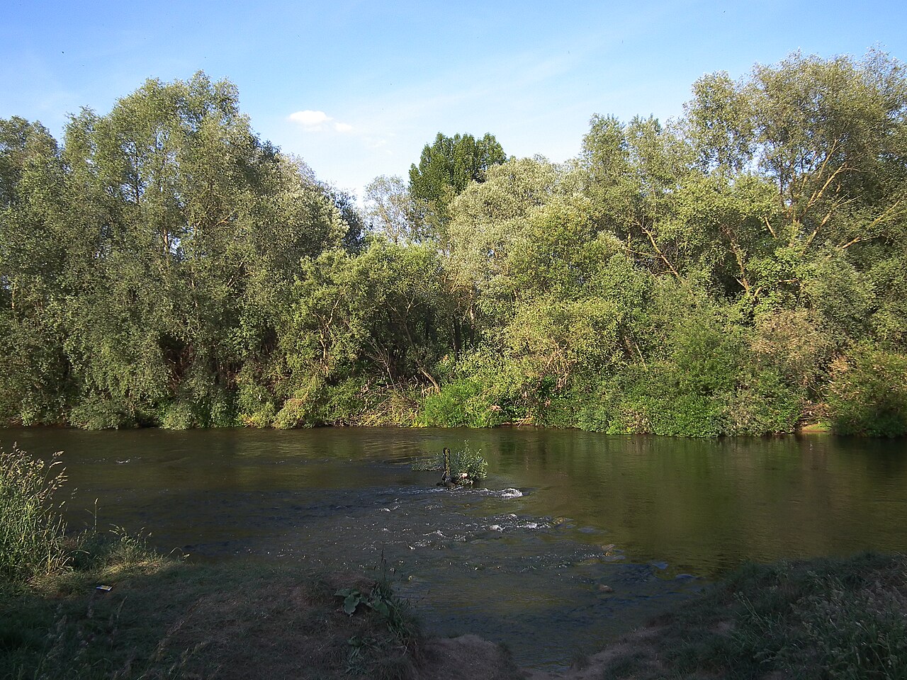 Naturschutzgebiet Altneckar Heidelberg-Wieblingen (Baden-Württemberg, Deutschland)