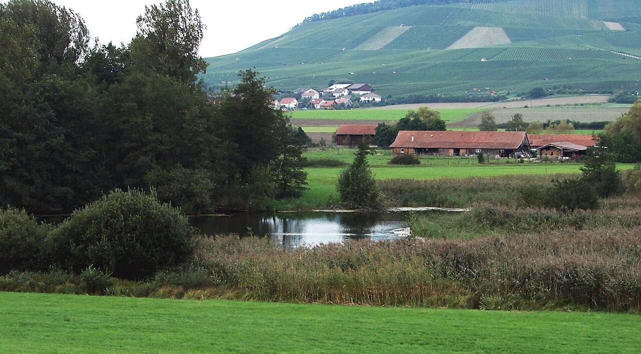 Das Naturschutzgebiet „Unterer See und Umgebung“ östlich von Horrheim auf Vaihinger und Sersheimer Gemeindegebiet