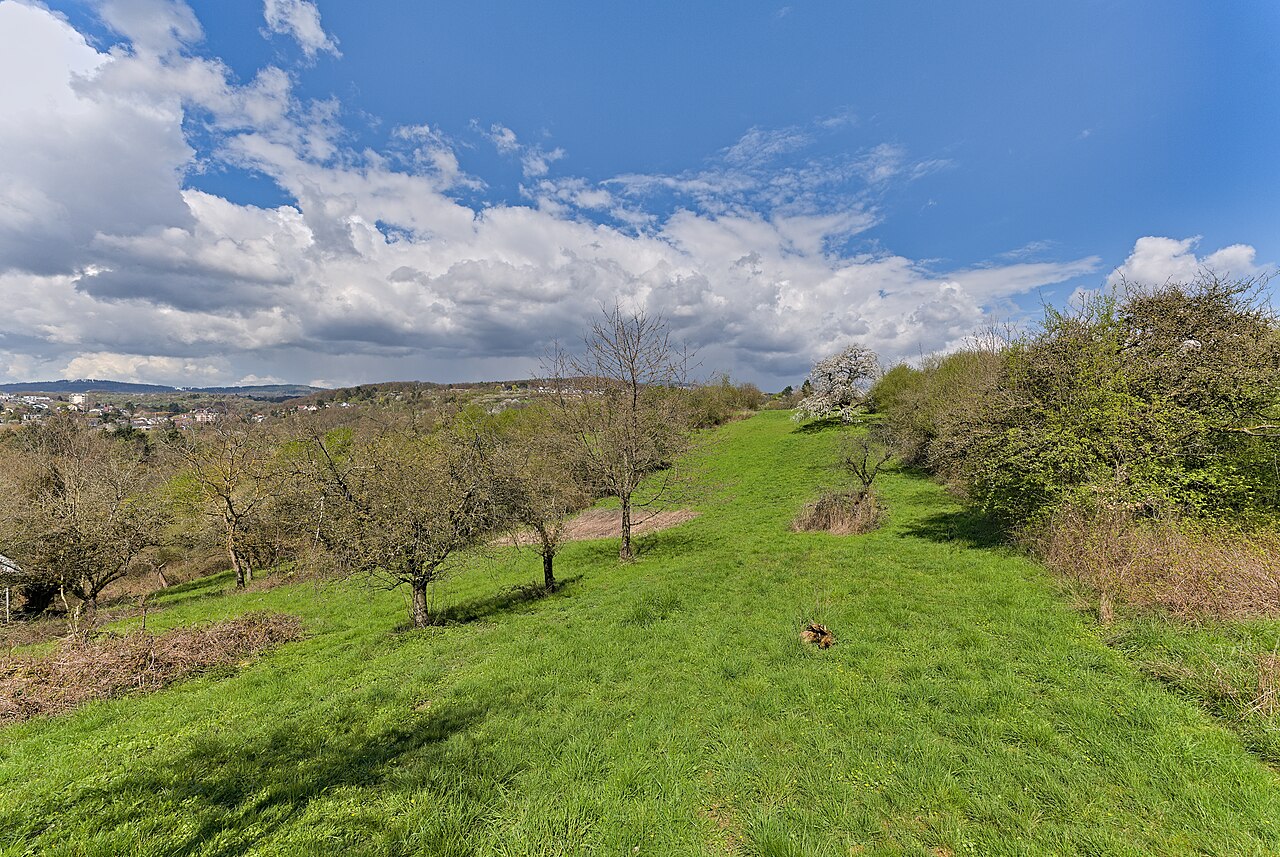 Nature reserve Unteres Altenhainer Tal bei Bad Soden