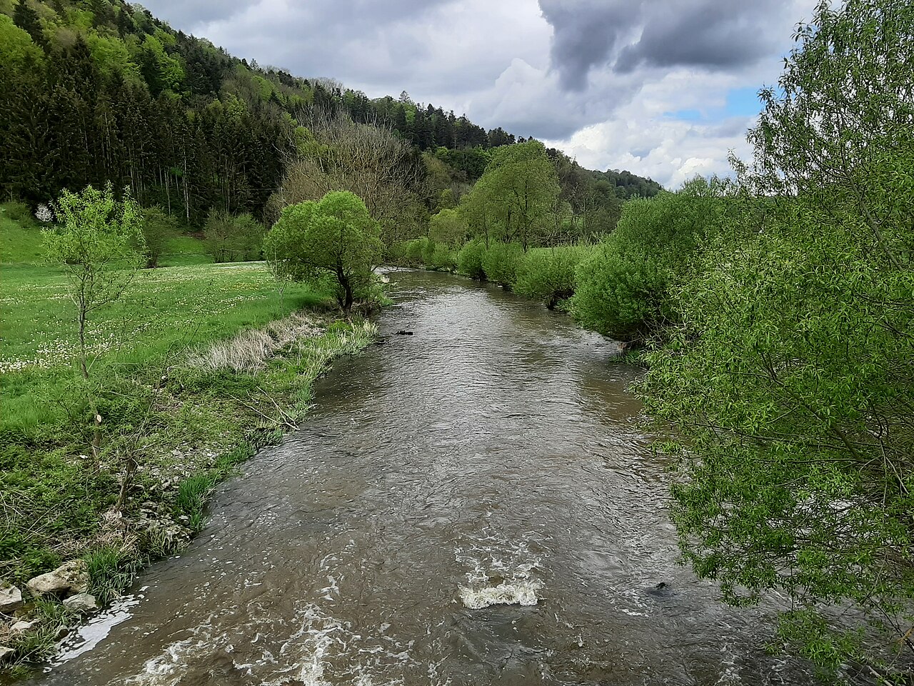 Nature reserve Unteres Bühlertal, Cröffelbach, Germany 2021