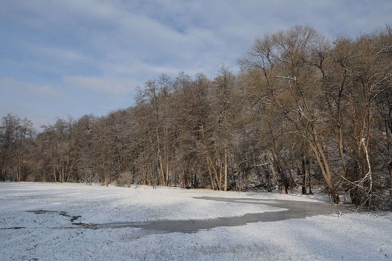 Lower Schondra valley at Gräfendorf in Winter