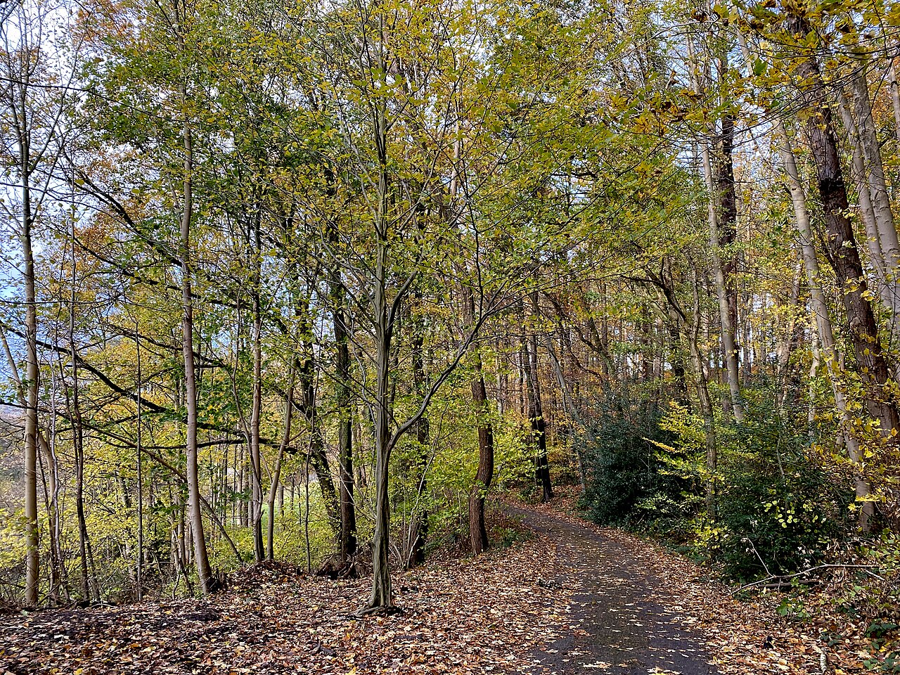 Naturschutzgebiet Unteres Sprockhöveler Bachtal - Heierberg