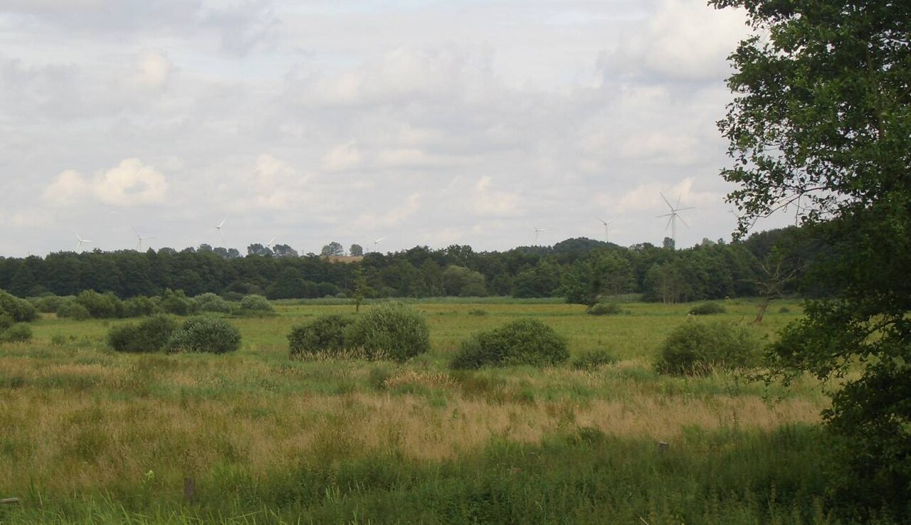 Blick vom Bahnhof Pölschow in Uferflächen der Warnow (Bestandteil des Naturschutzgebiet Unteres Warnowland)