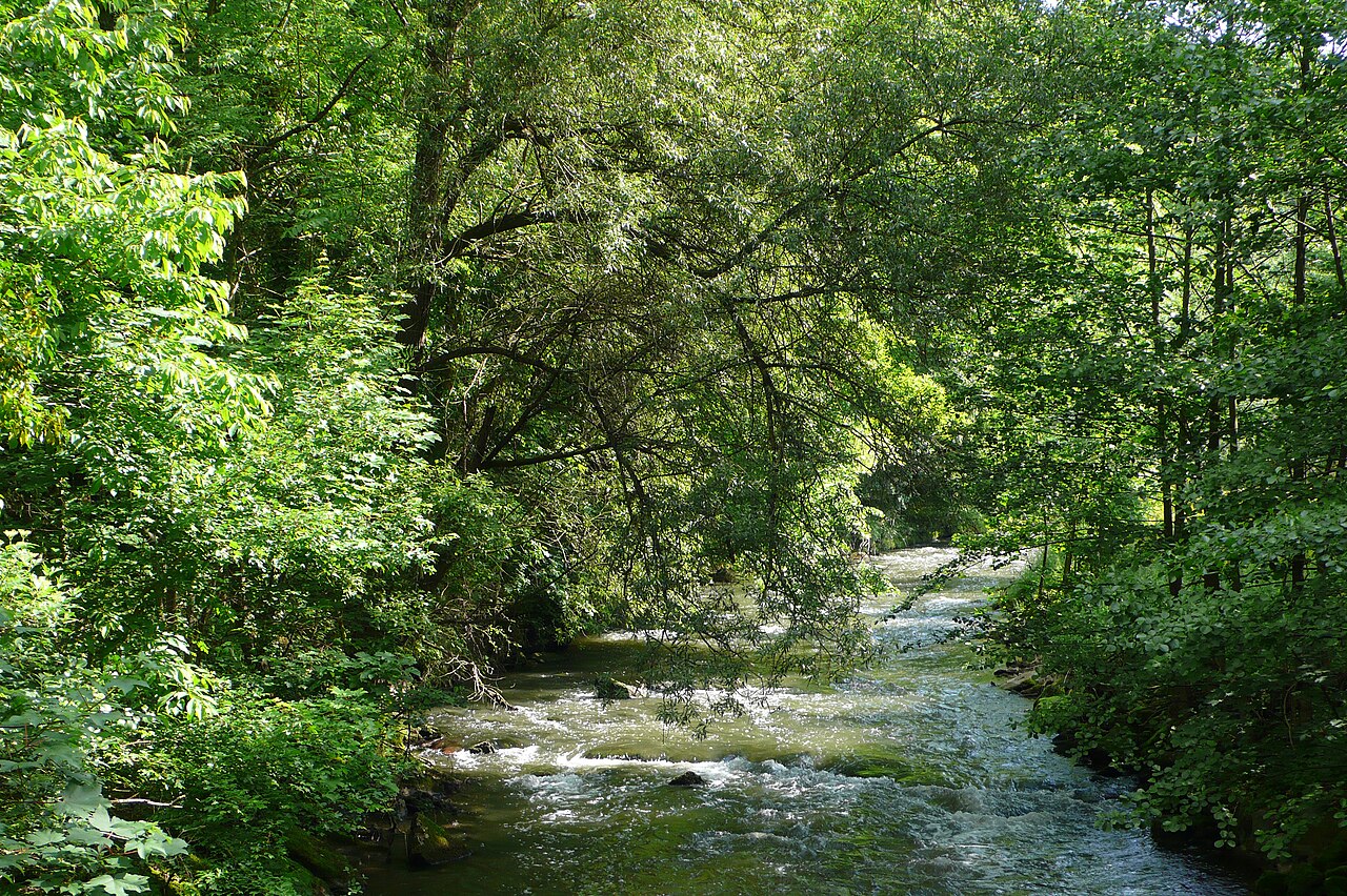 Würm, a river at the north end of the black forest mountains, german state of Baden-Württemberg