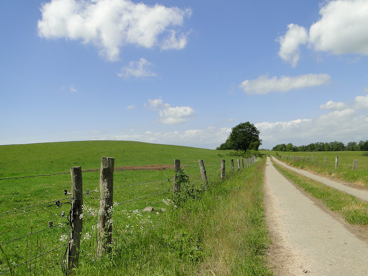 Nature reserve Upahler und Lenzener See in Lenzen, district Parchim, Mecklenburg-Vorpommern, Germany
