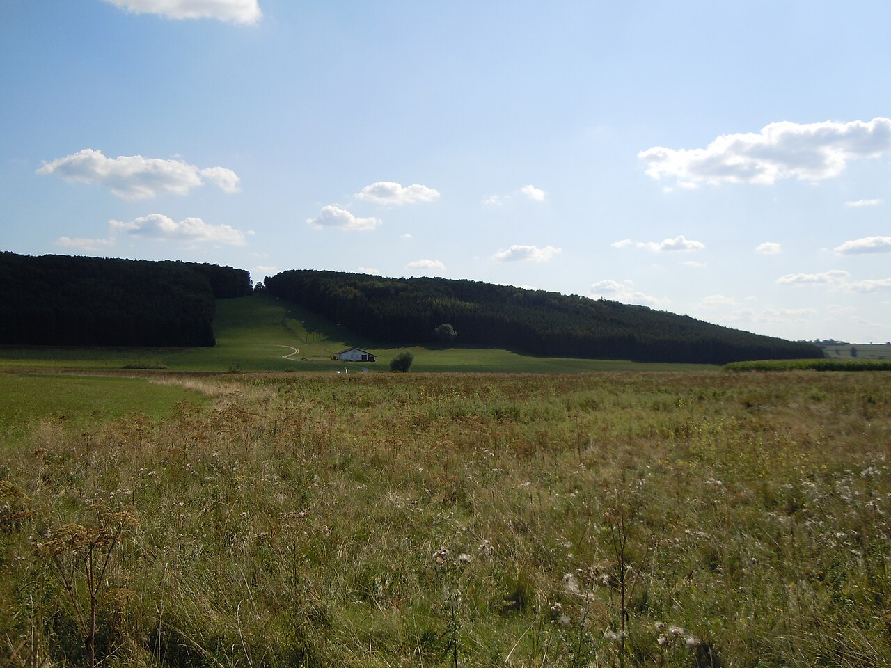 Naturschutzgebiet "Upfinger Ried" (Schutzgebiets-Nr