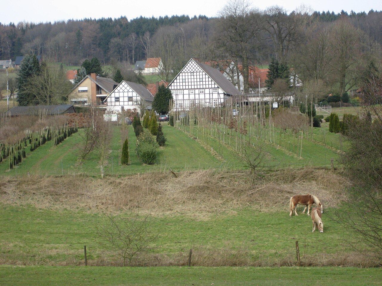 Südseite des Urbergs in Bad Iburg mit Pferdekoppel, Baumschule, Jägerhof (in Richtung Norden)