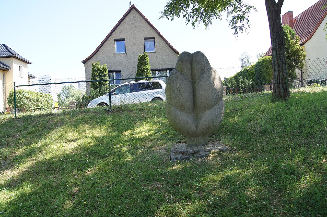 Foto von Vegetative Formen I