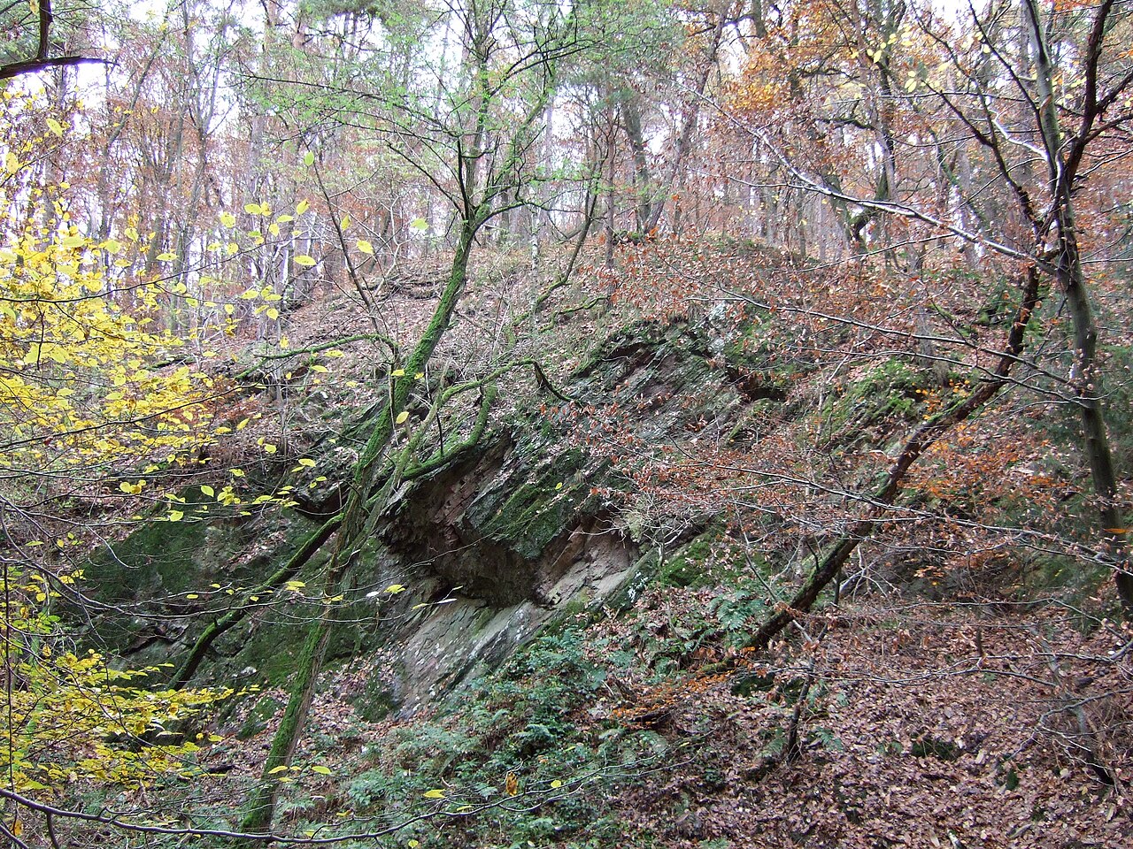 Der Burghügel auf dem die Vergessene Burg bei Alzenau stand