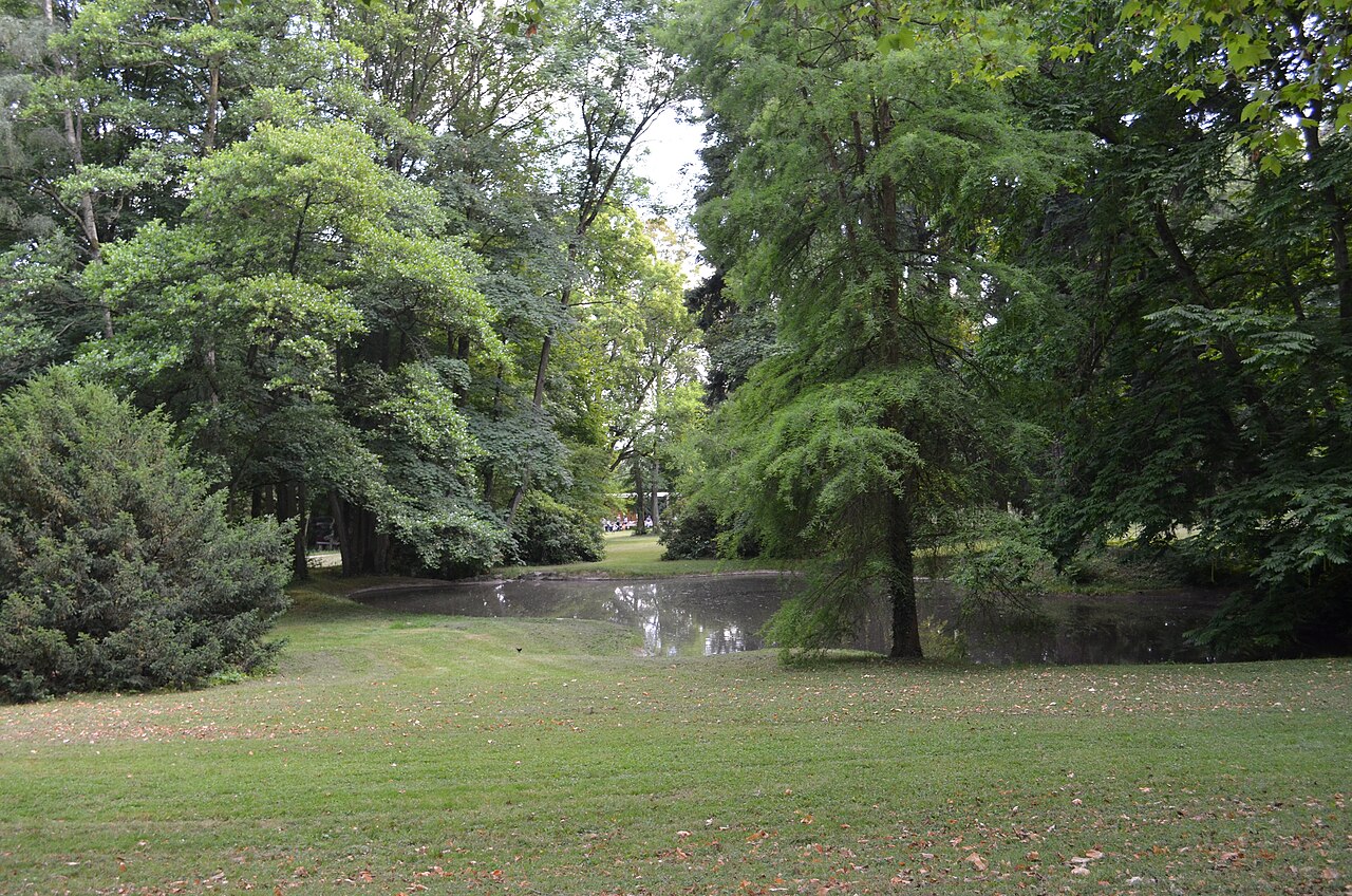 Kronberg, Victoriapark, Denkmalweiher
