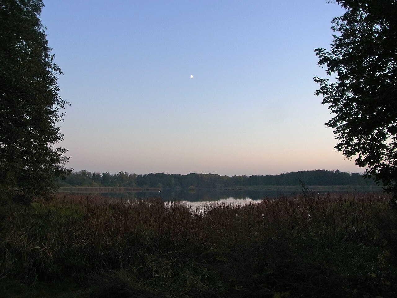 Herbstliche Abendstimmung im NSG Viehmoor bei Leiferde, Landkreis Gifhorn