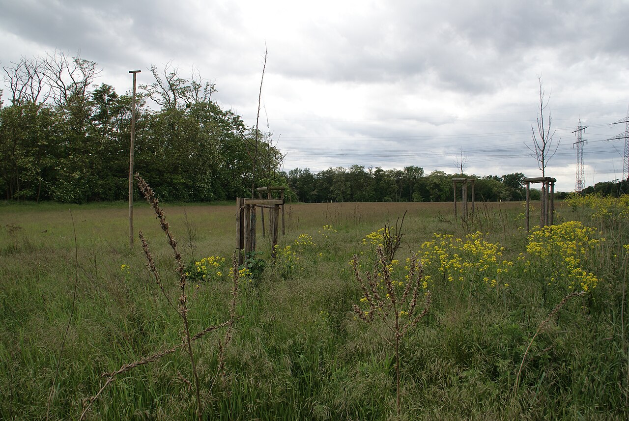 Foto von Viehwäldchen, Apfelkammer, Neuwäldchen