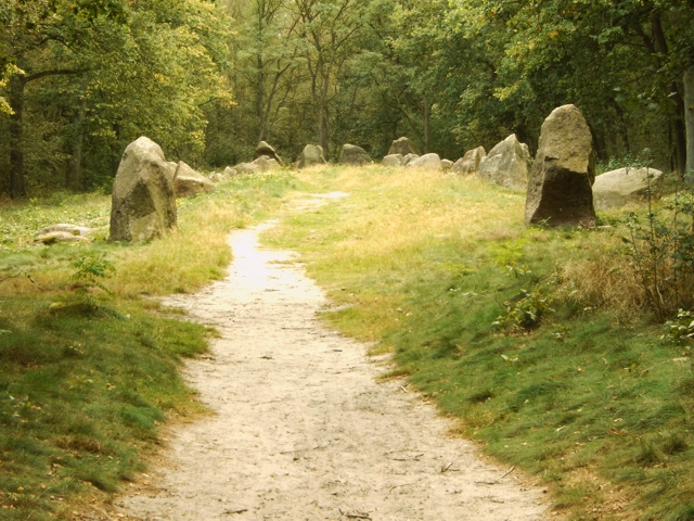 Foto von Visbeker Braut