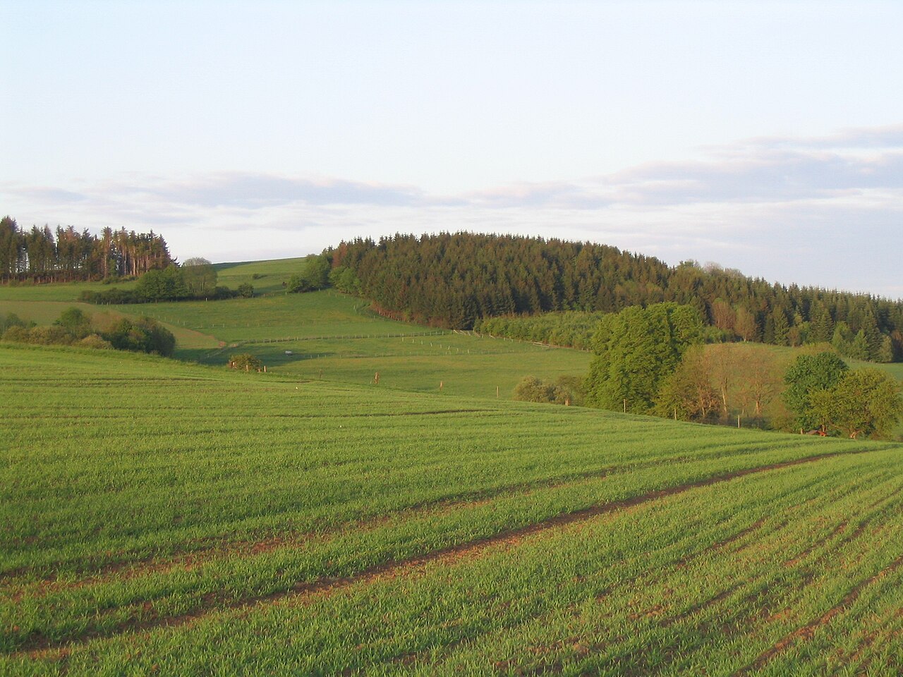 Das Völzberger Köpfchen (571 m) von Westen, aufgenommen vom Vogelsberger Südbahnradweg