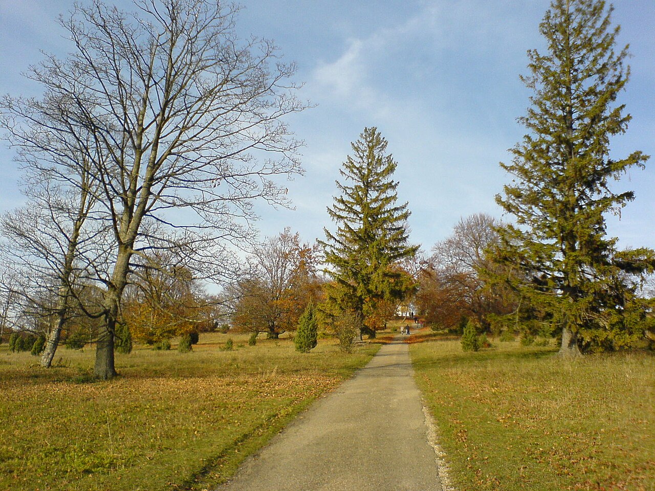 Weg zum Volkmarsberg