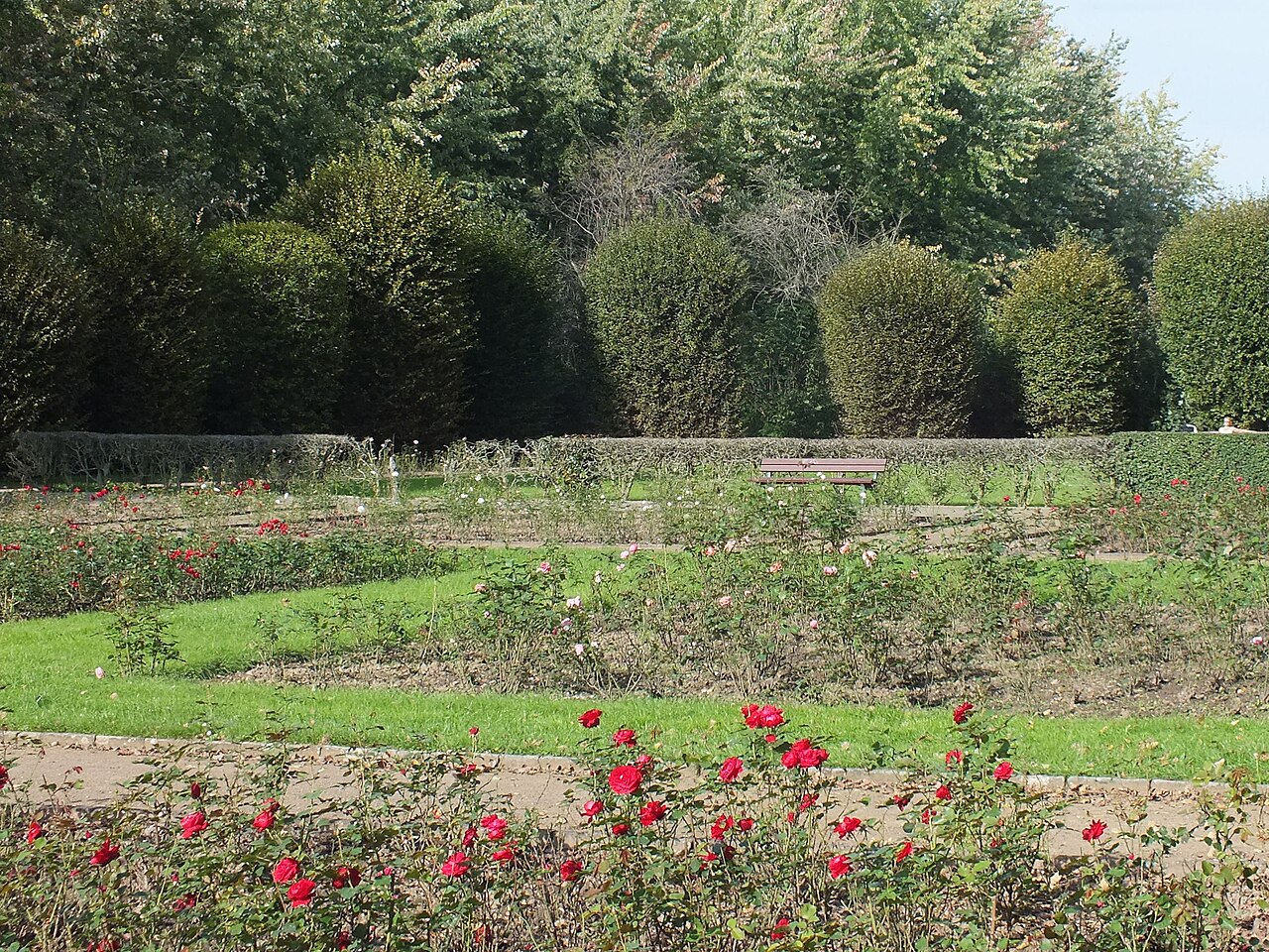 Das Rosenparterre im Volkspark Kleinzschocher in Leipzig