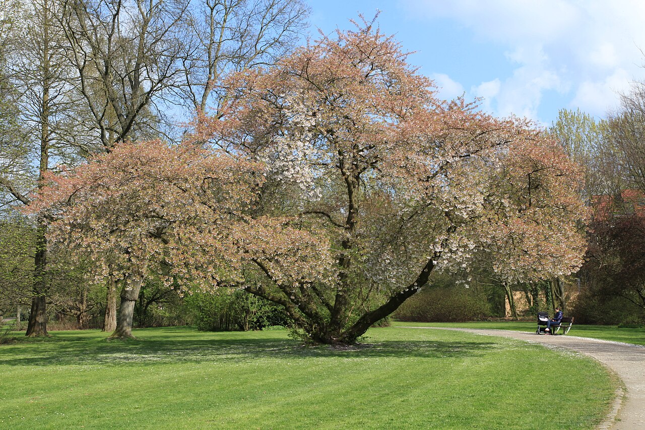 Volkspark in Bochum -Langendreer