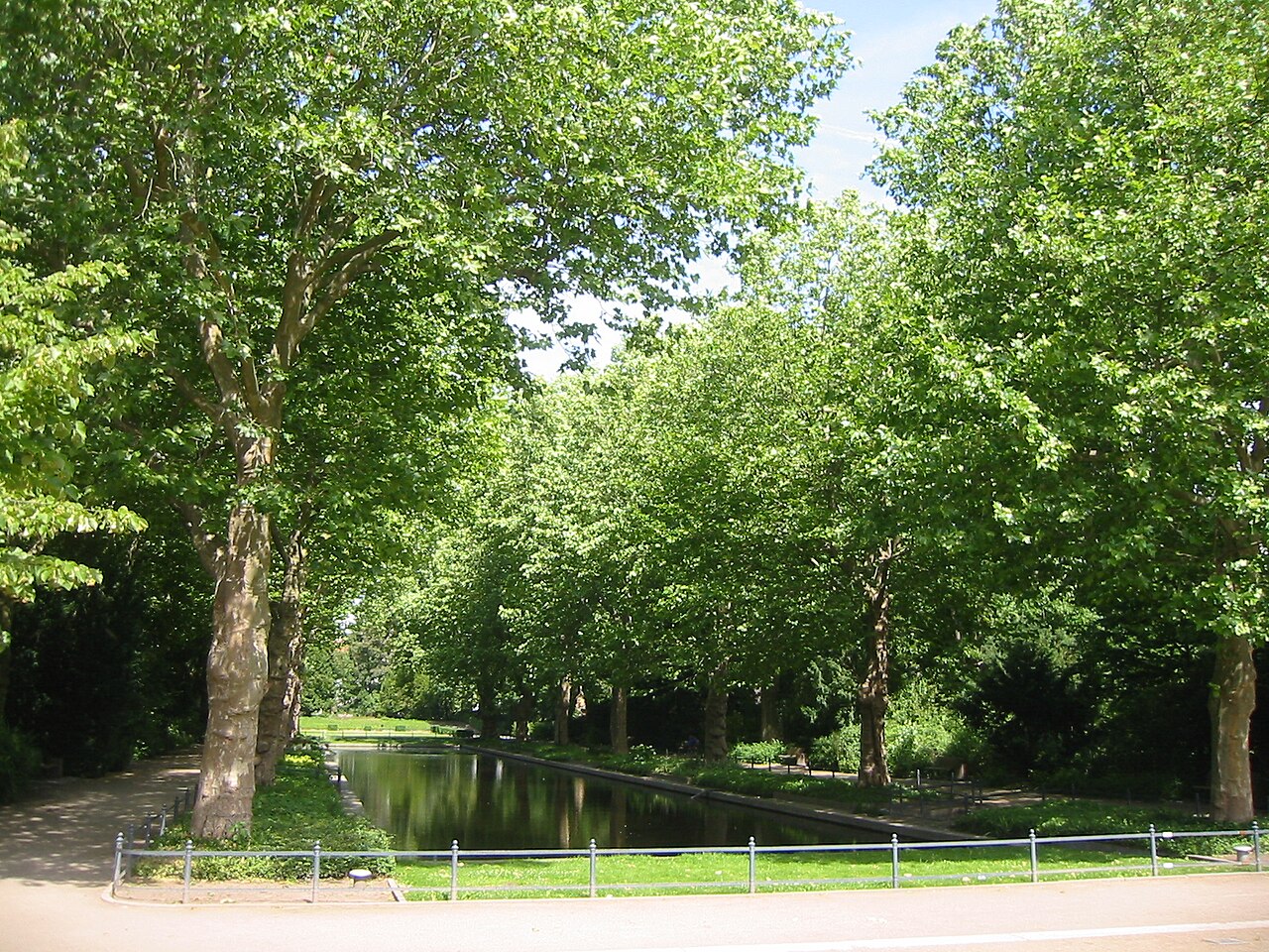 Blick auf das Spiegelbecken mit Platanen im Von-der-Schulenburg-Park in Berlin-Neukölln