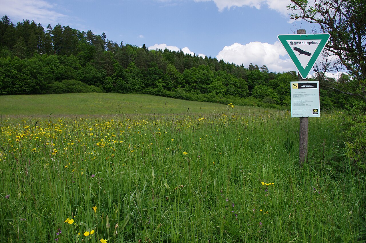 Naturschutzgebiet "Vordere Hohbachwiesen"