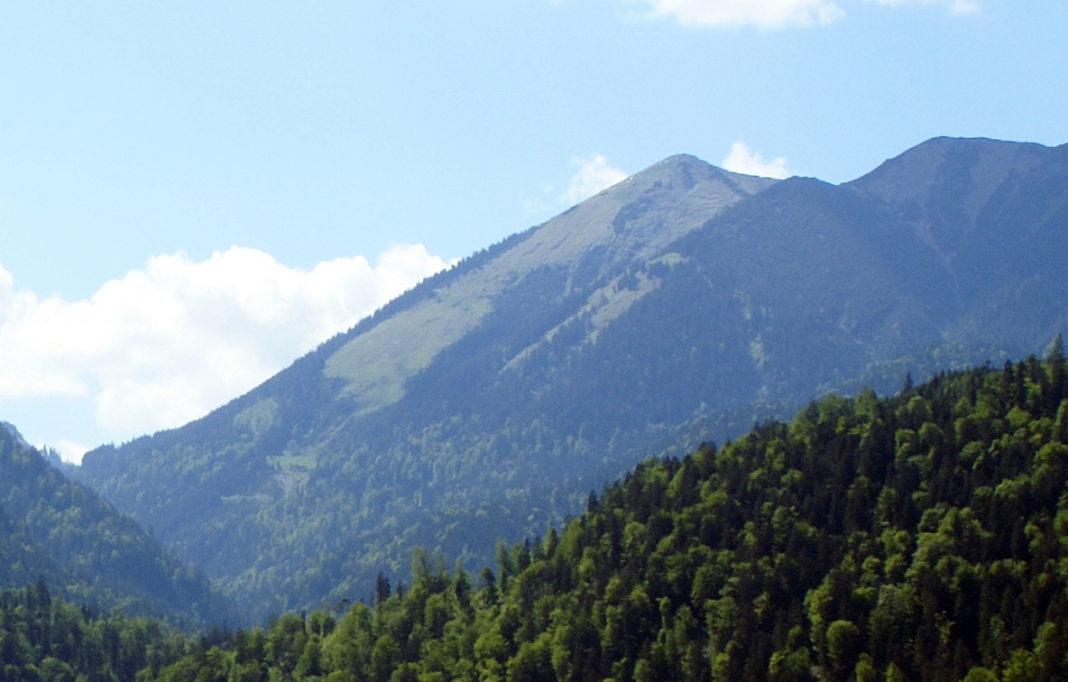 Vorderer Felderkopf from E (Farchant)