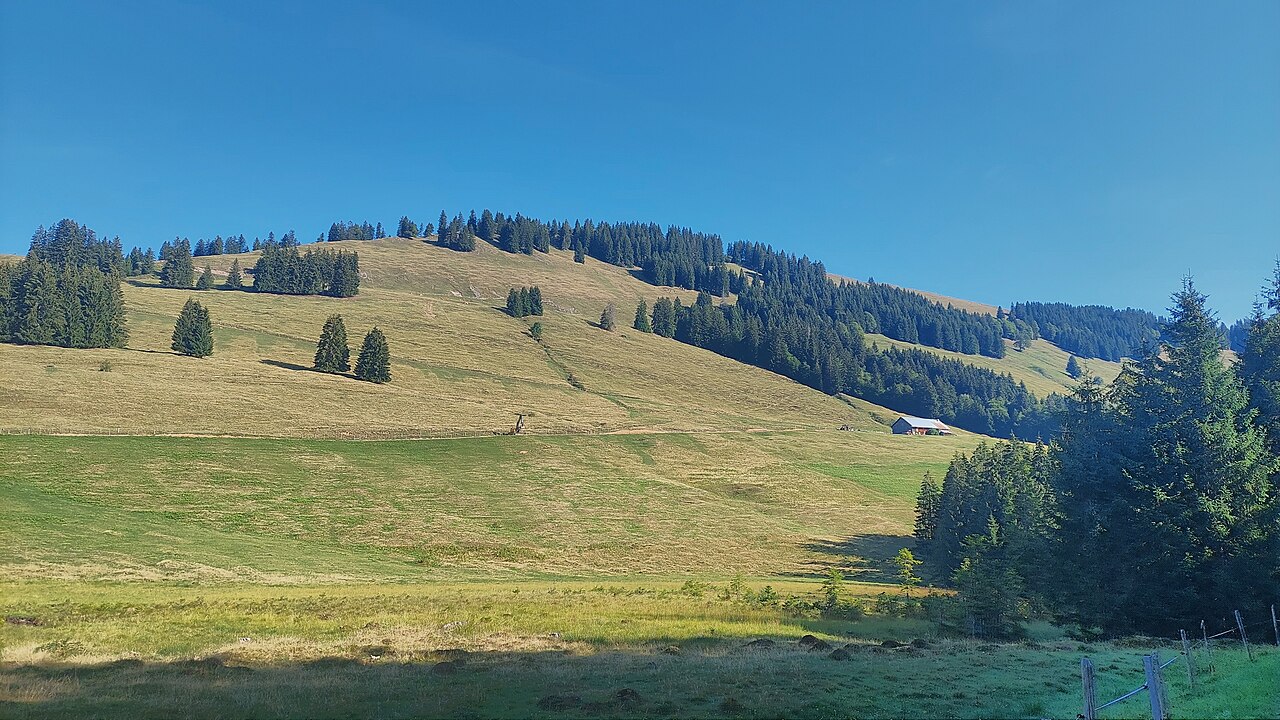 Vorderer Prodel and Unterdennebergalpe in the Allgäu Alps, view from south