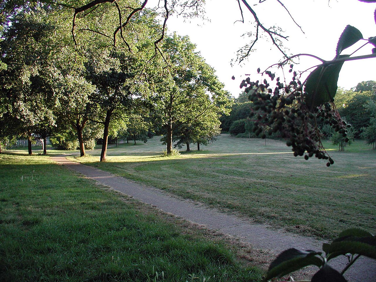 Grüngürtel-Köln-Vorgebirgspark